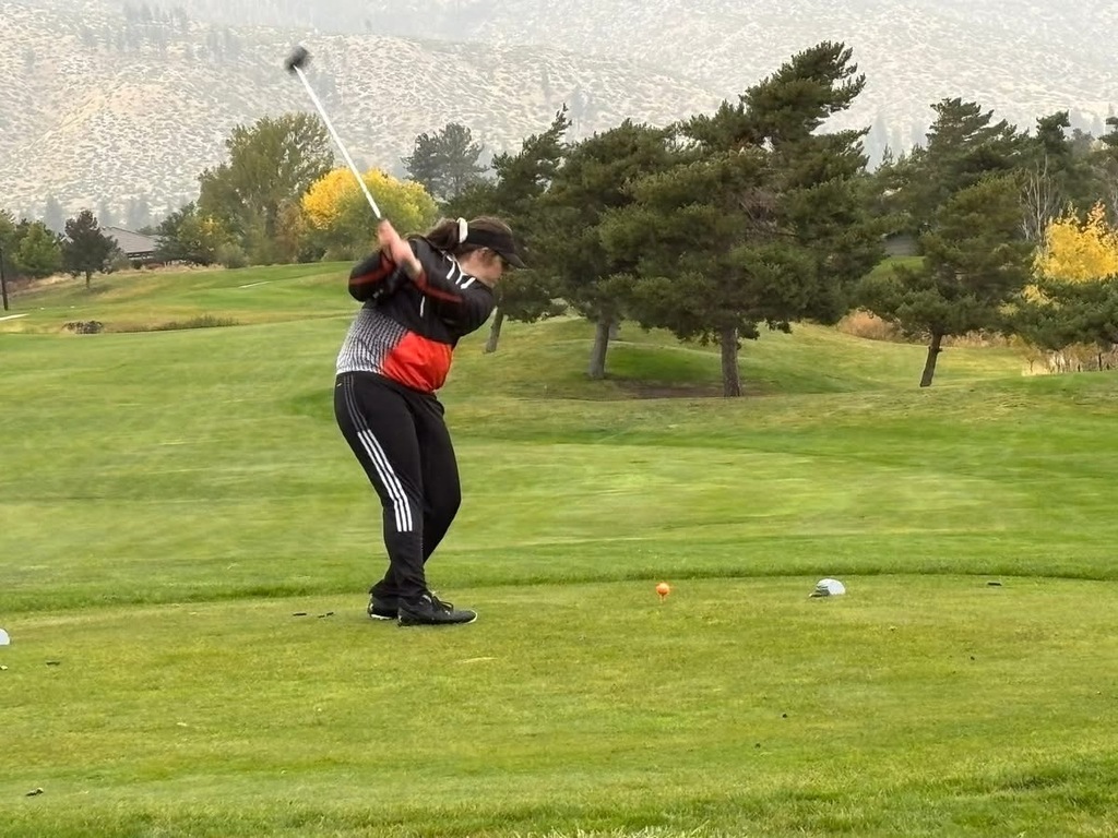 Wells High School golfer at state golf
