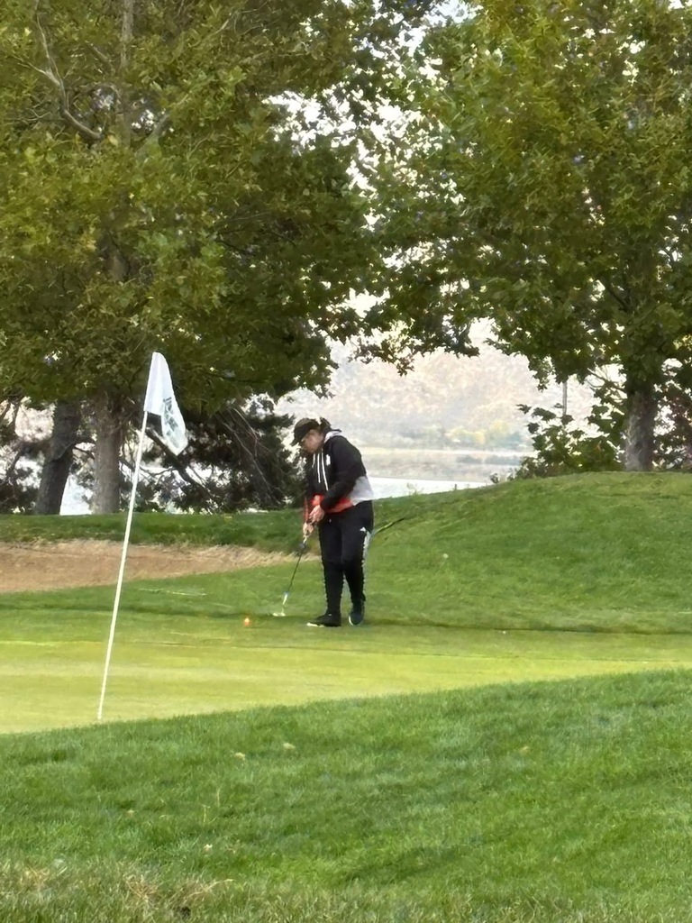 Wells High School golfer at state golf
