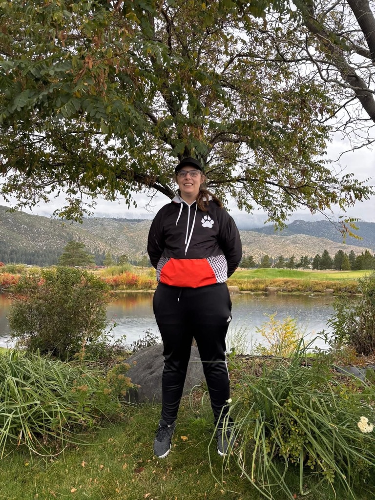 Wells High School golfer at state golf