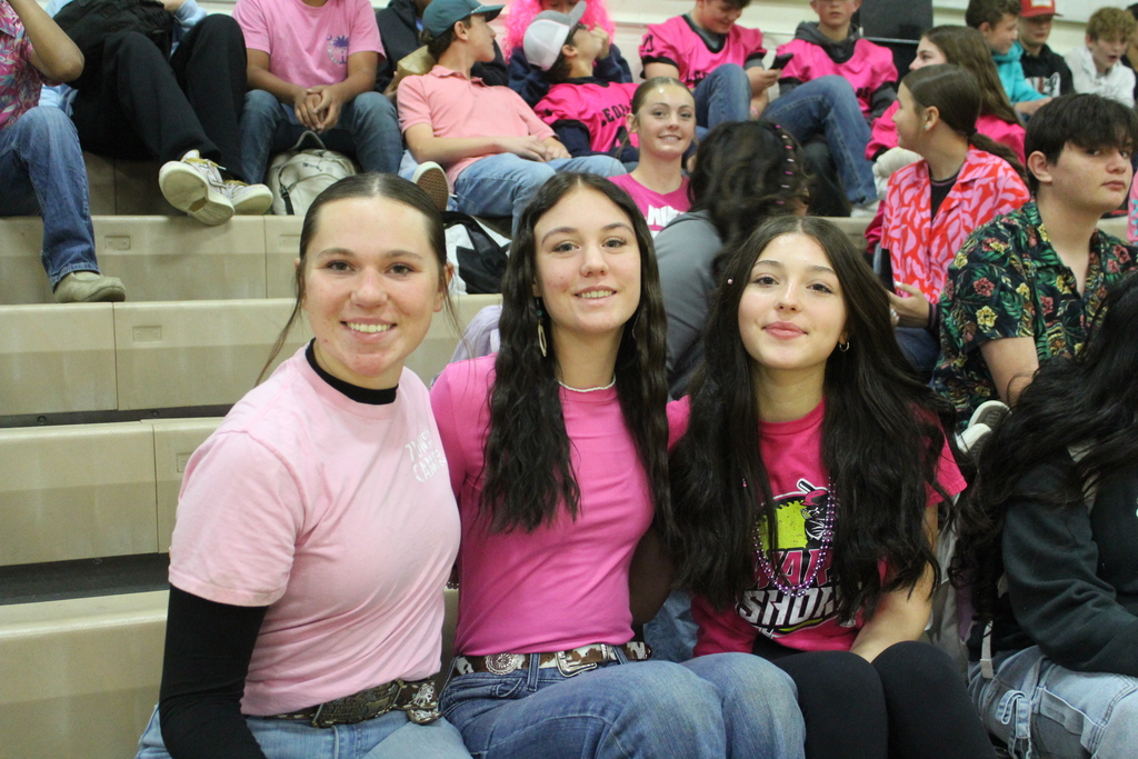 Pink out day at WHS