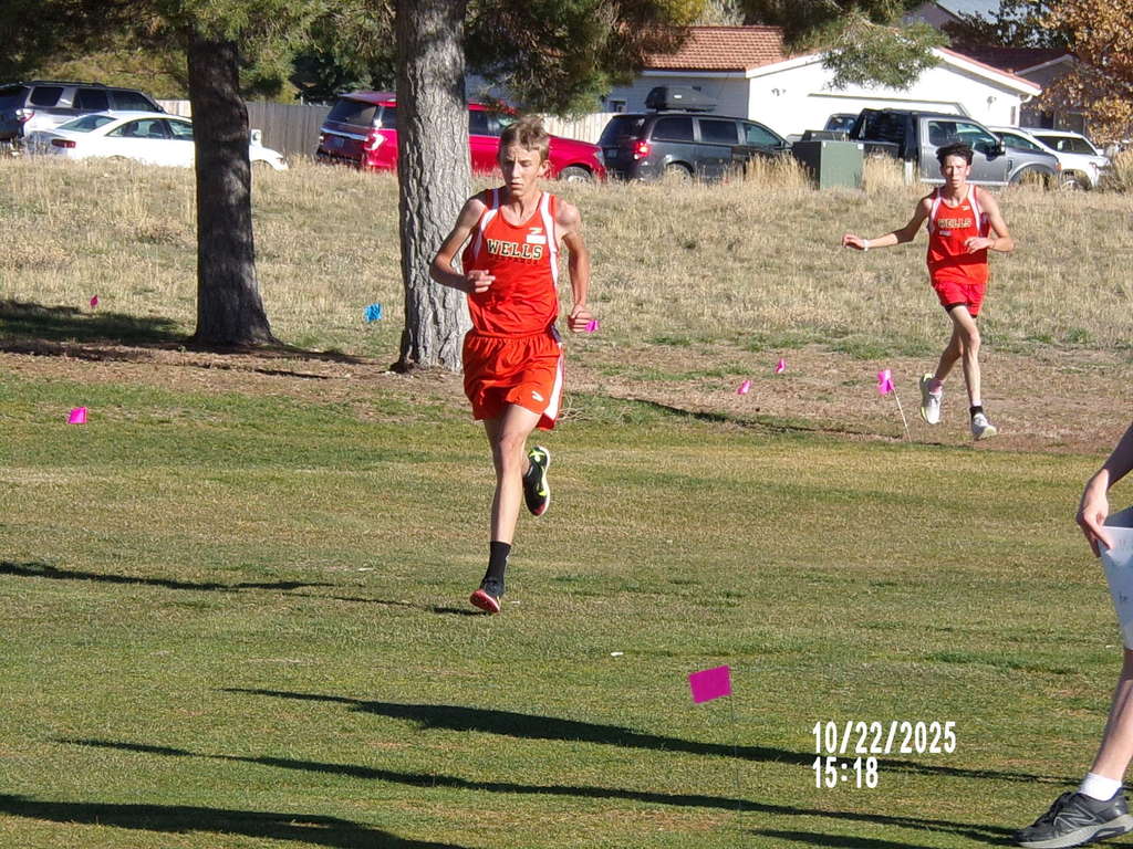 WHS cross country runners