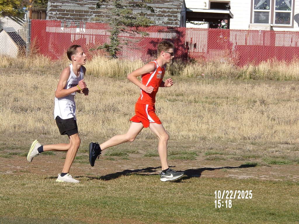 WHS cross country runners