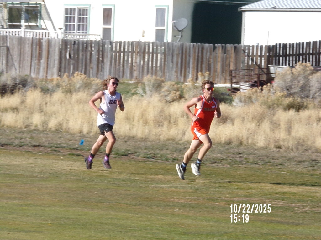 WHS cross country runners