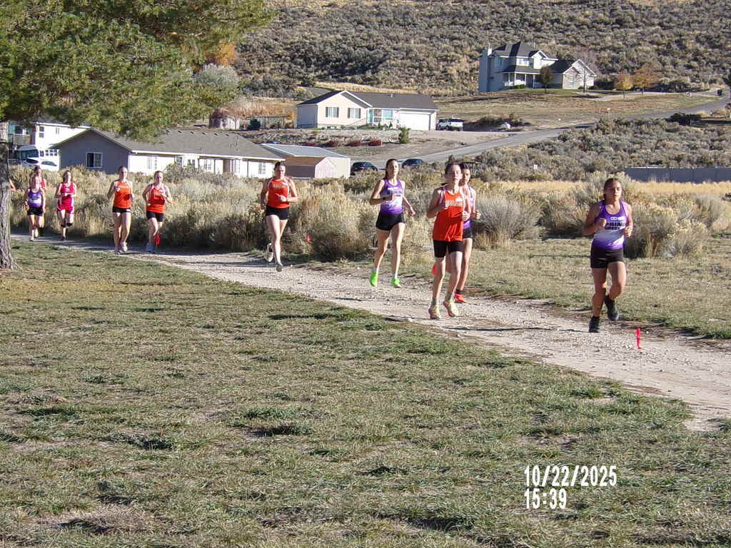 Wells High School cross country runners