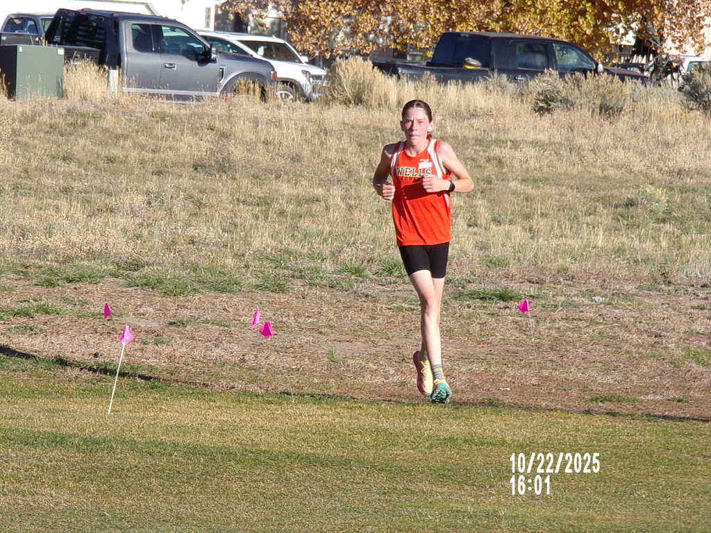 Wells High School cross country runners