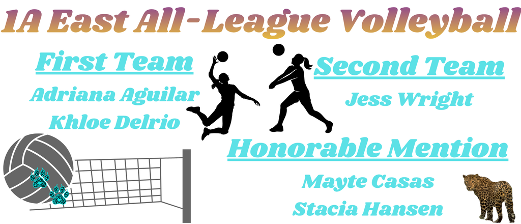 all league honors