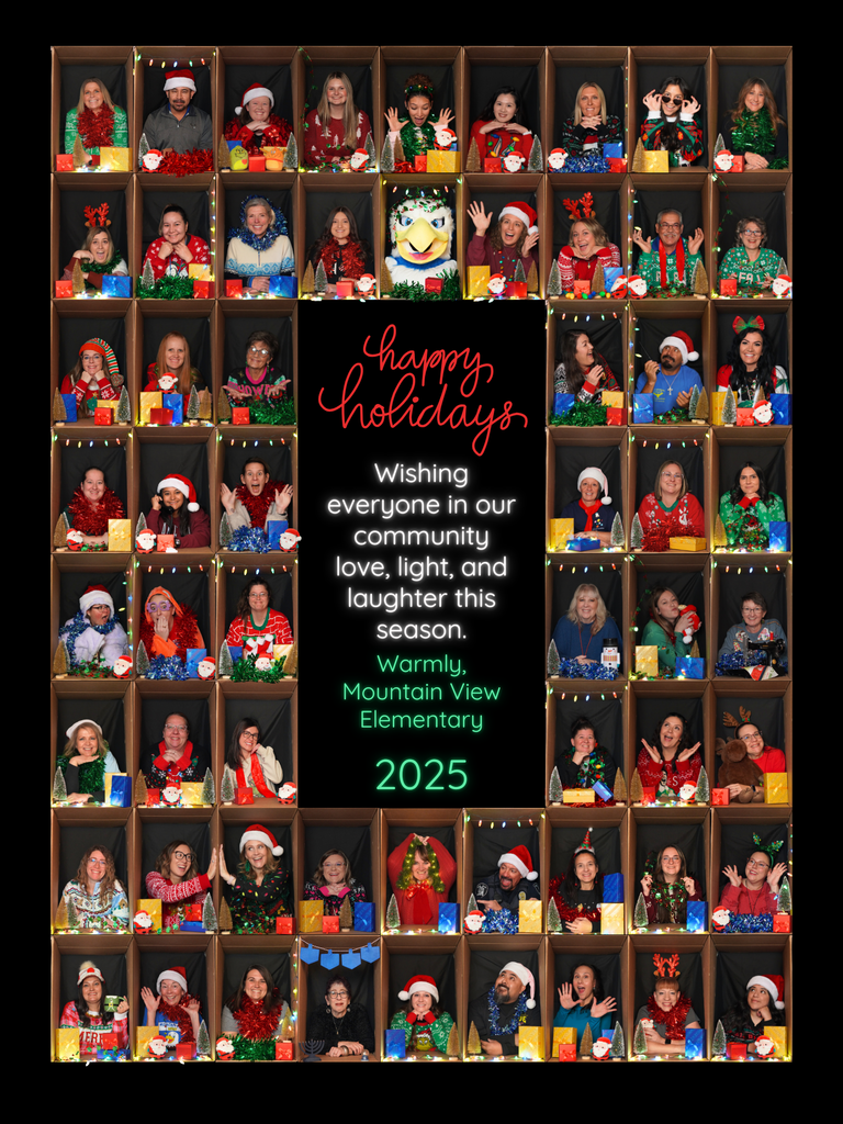 Happy holidays 2025 from MVE!