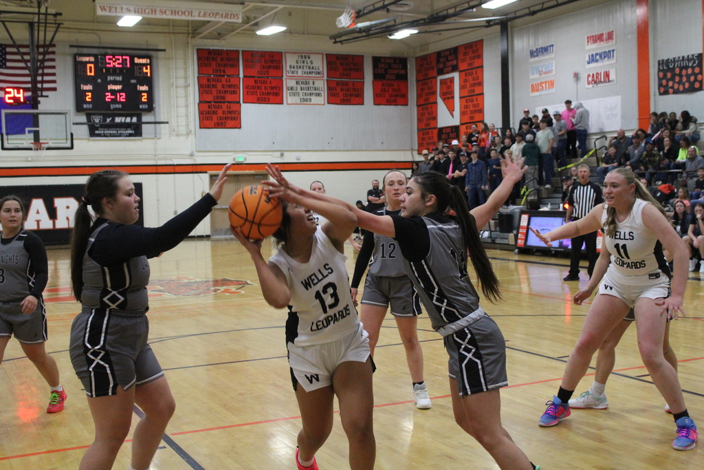 Wells High School girls bsketball at the WREC Classic