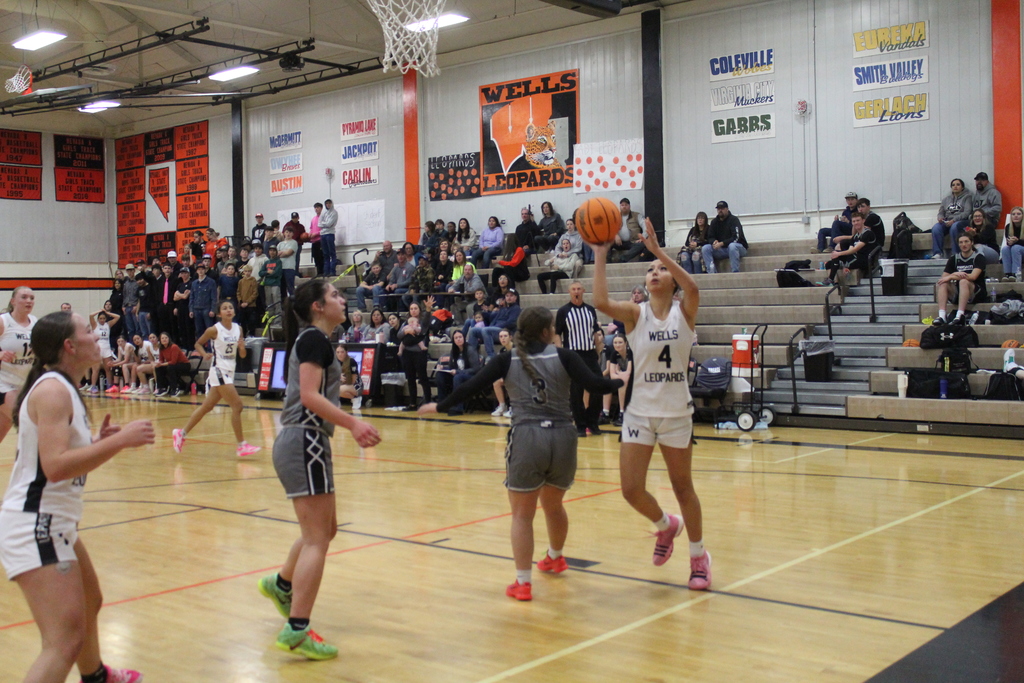 Wells High School girls bsketball at the WREC Classic