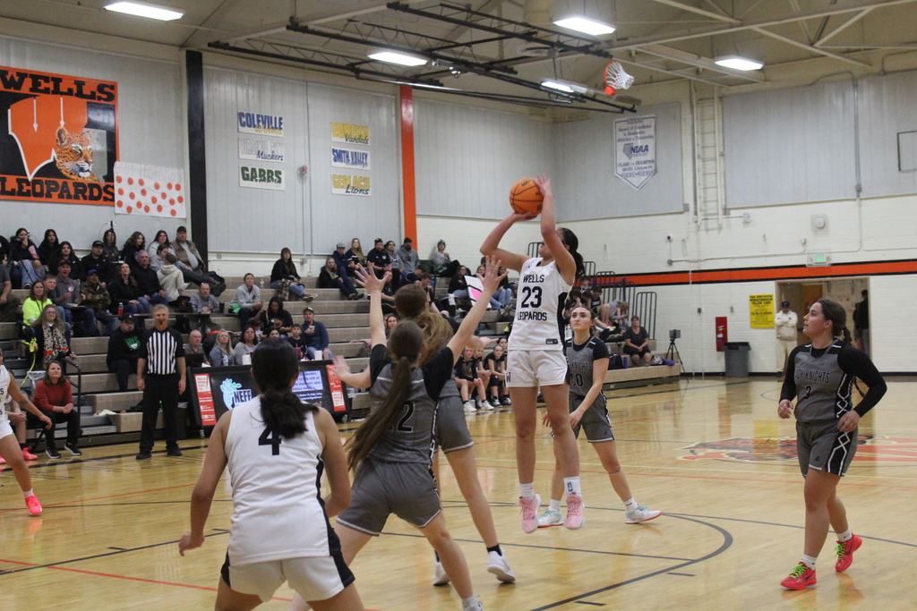 Wells High School girls bsketball at the WREC Classic