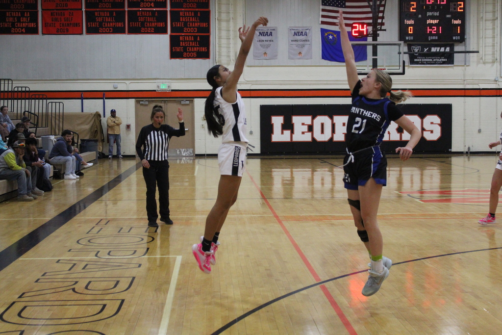 Wells High School varsity girls basketball vs Alamo
