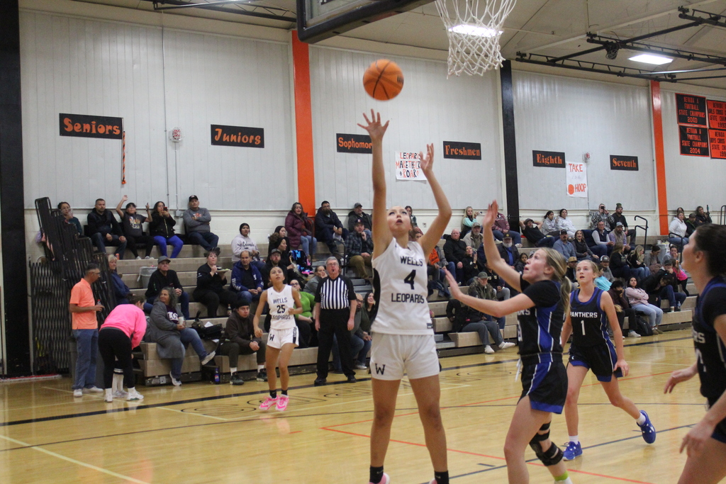 Wells High School varsity girls basketball vs Alamo