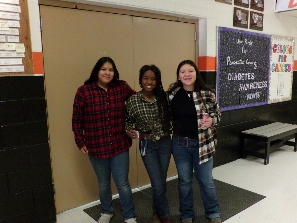 Dress up days at Wells Junior High and High School