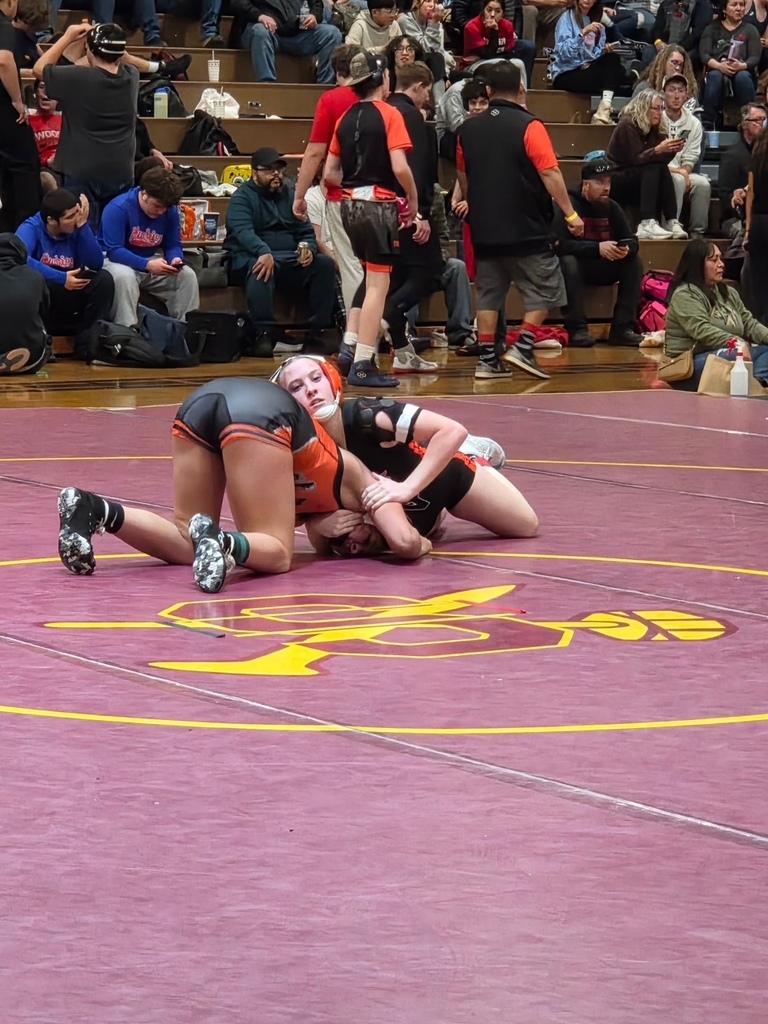 Wells High School wrestlers at Sparks Invitational