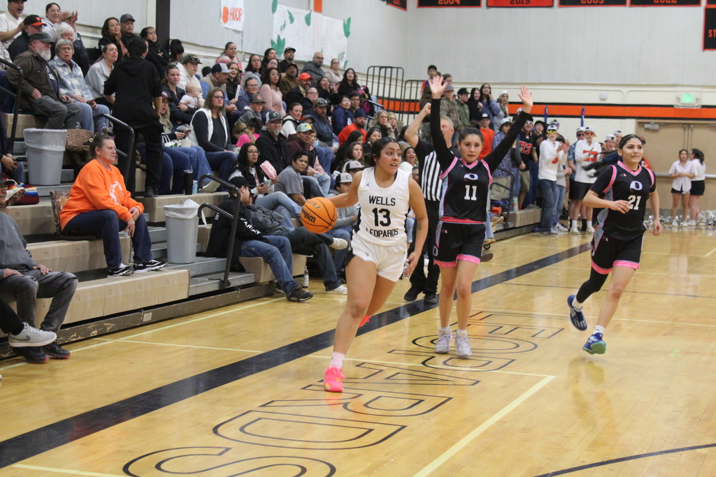 WHS girls basketball team vs Owyhee