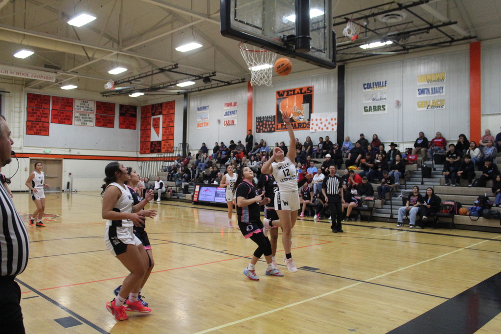 WHS girls basketball team vs Owyhee