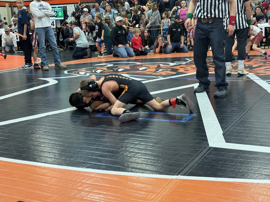 Wells Junior wrestlers