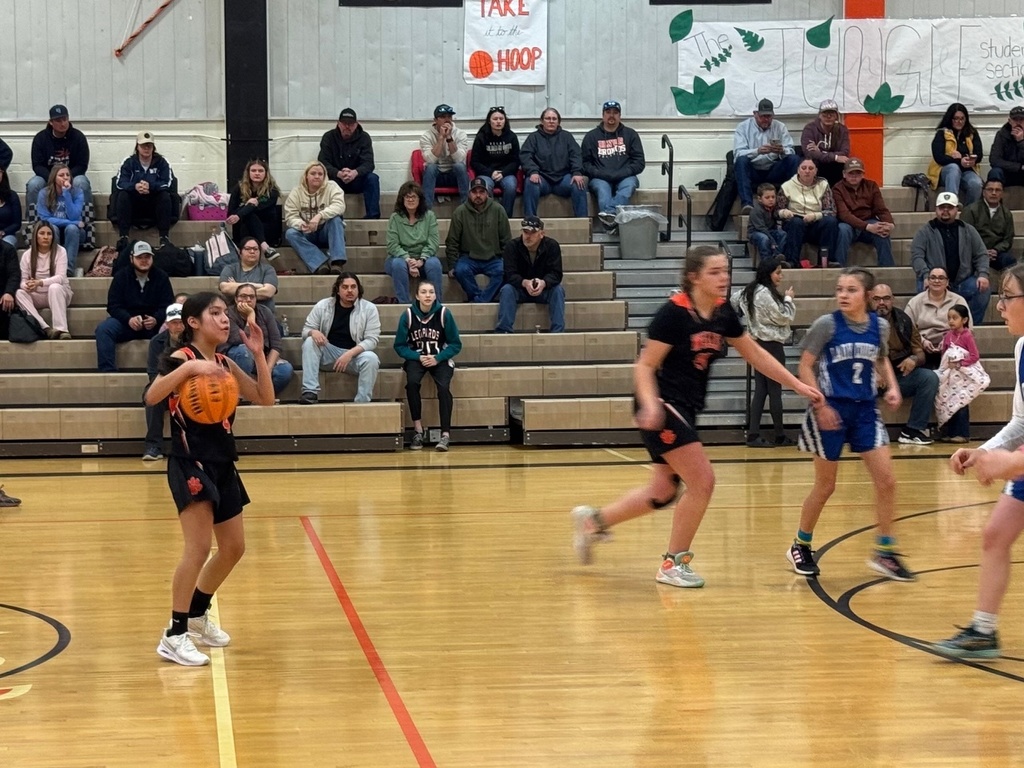 Junior high travel basketball team