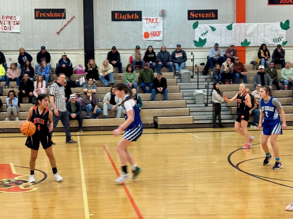 Junior high travel basketball team