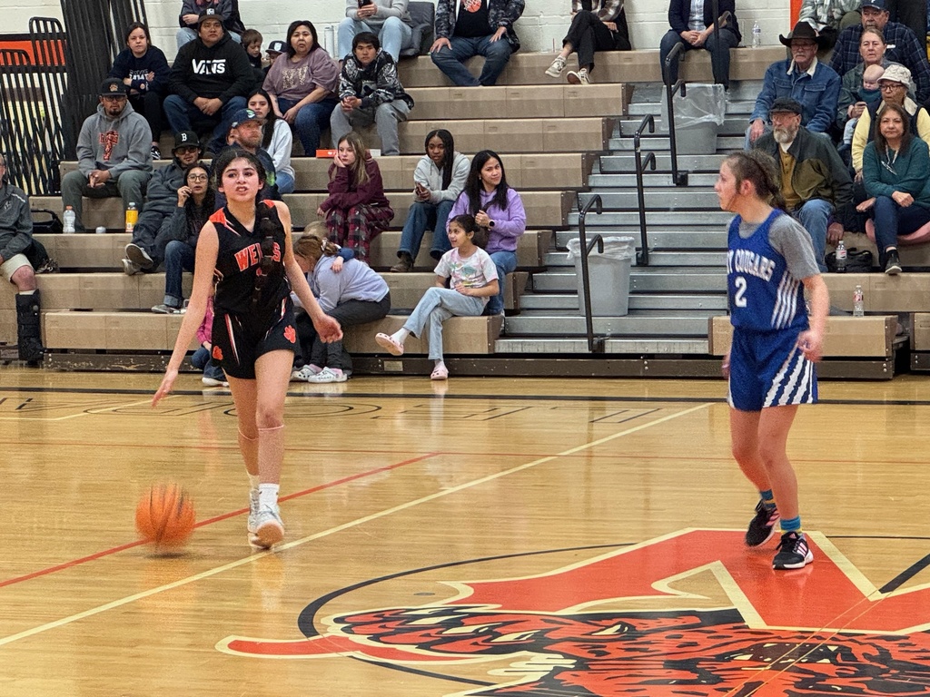 Junior high travel basketball team