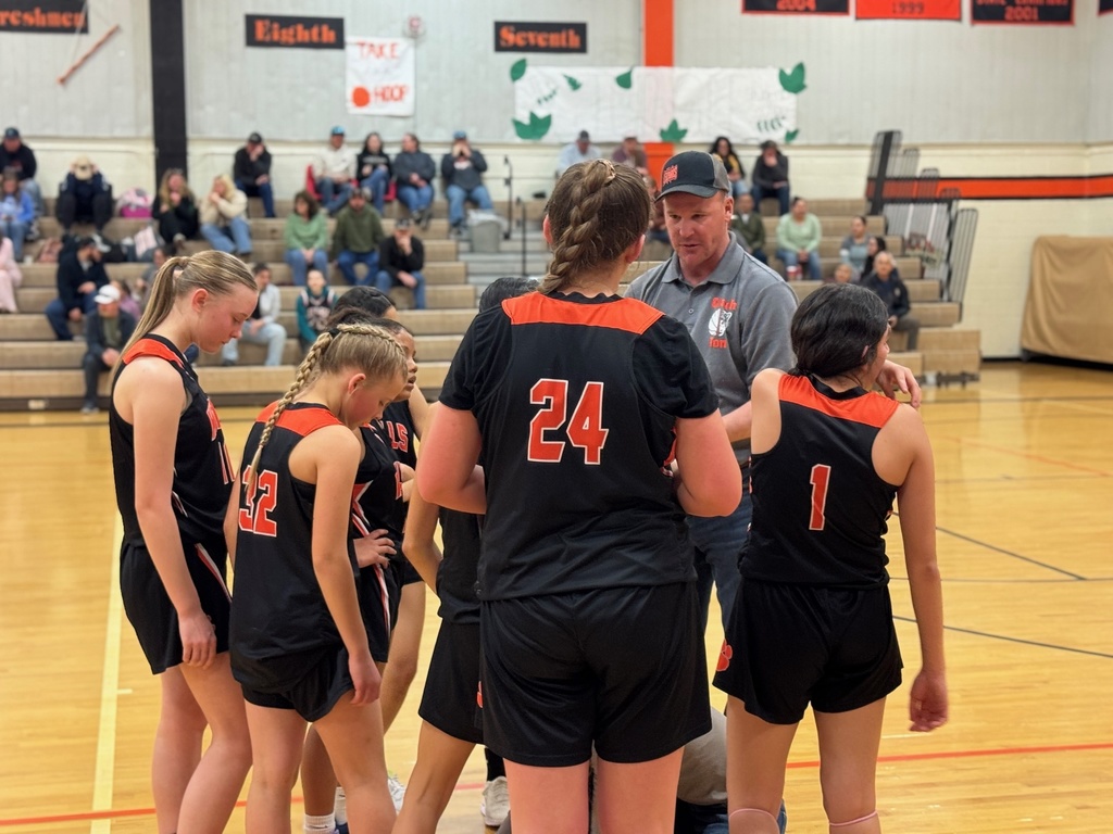 Junior high travel basketball team