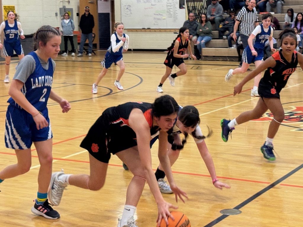 junior high school travel ball