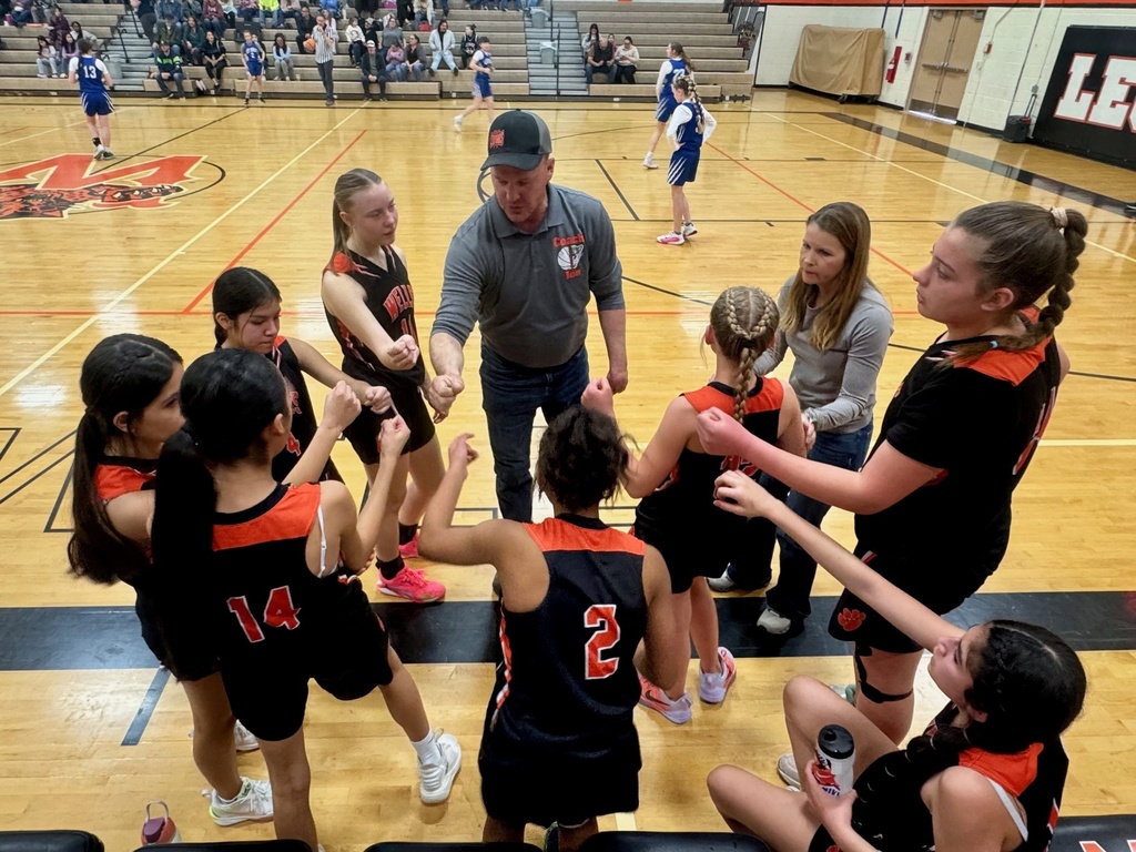 junior high school travel ball