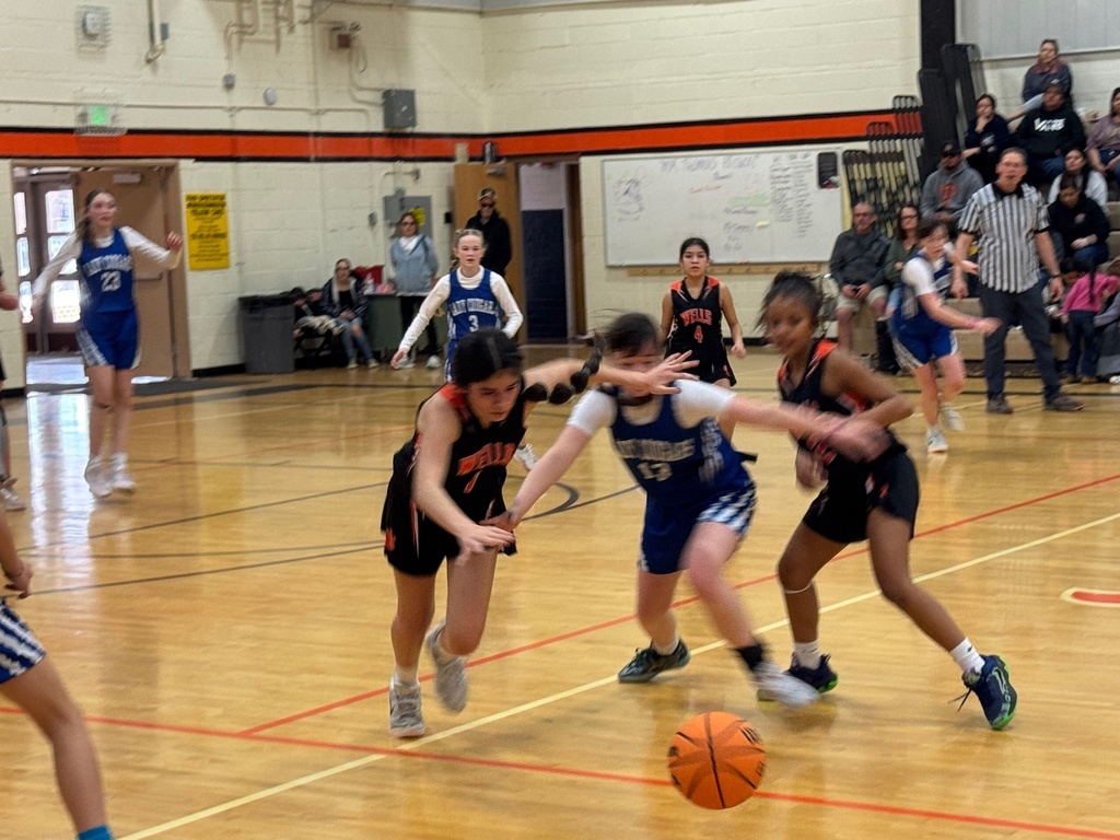 junior high school travel ball