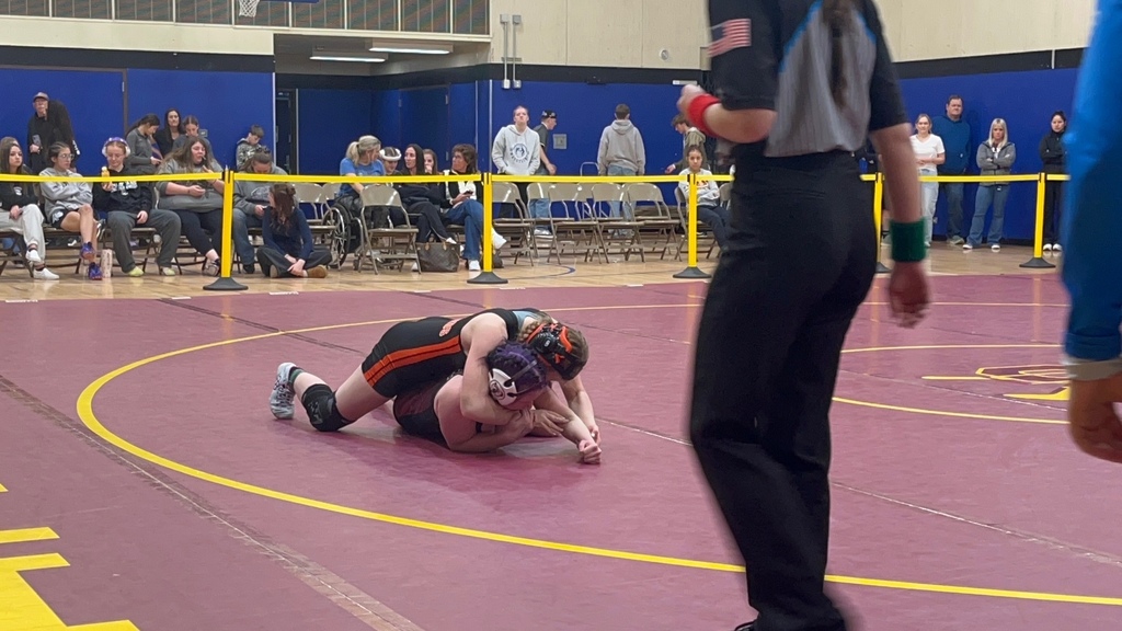 Wells High School wrestlers at the qualifiers