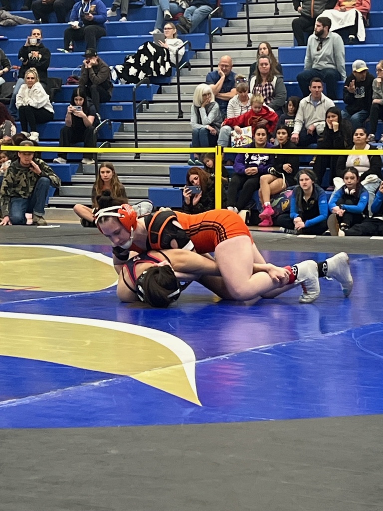 Wells High School wrestlers at the qualifiers