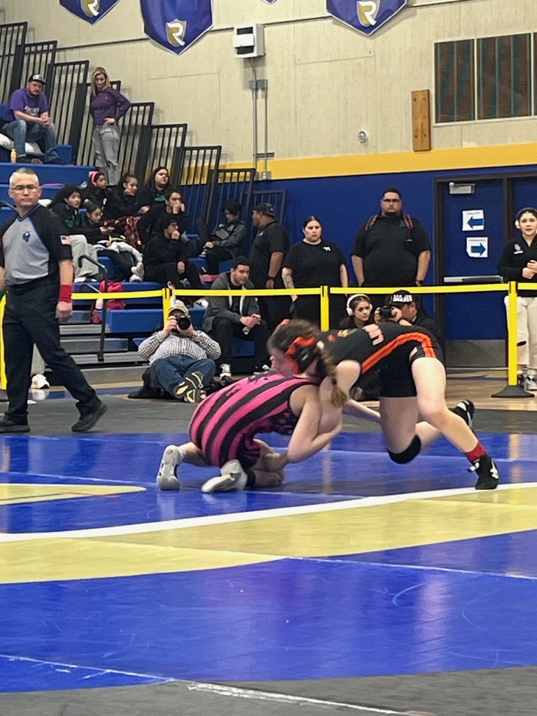 Wells High School wrestlers at the qualifiers