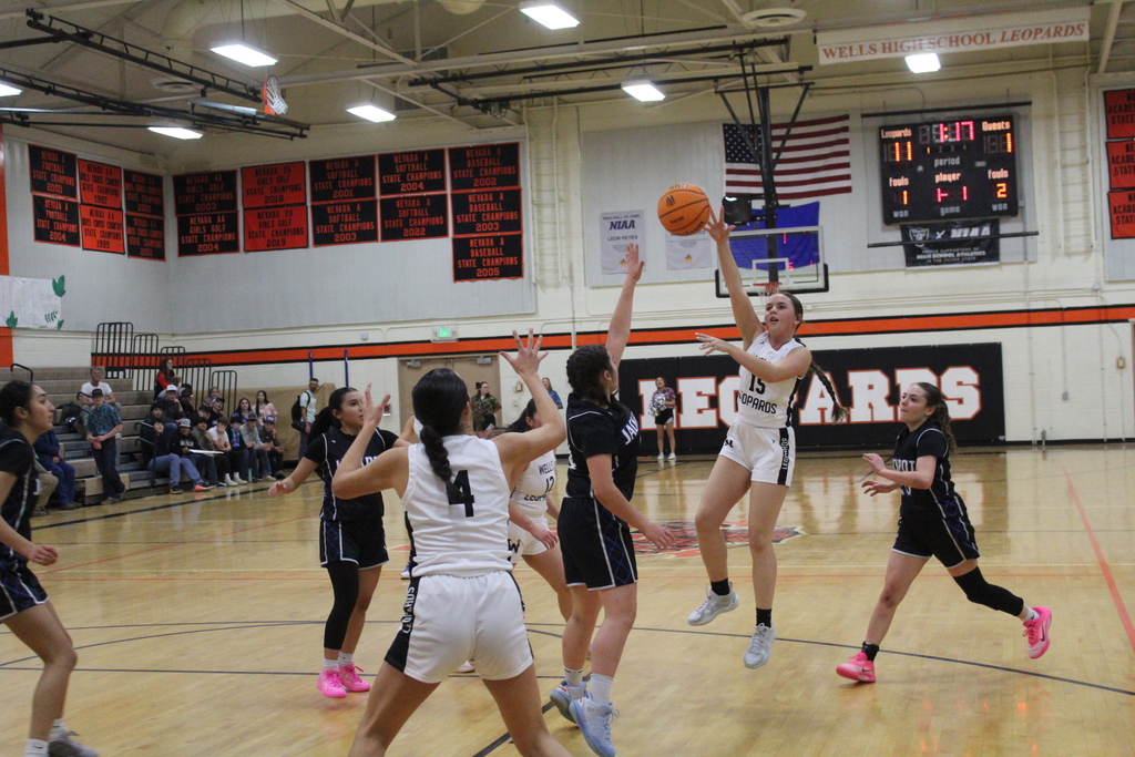 Wells High School varsity girls basketballl team vs Jackpot