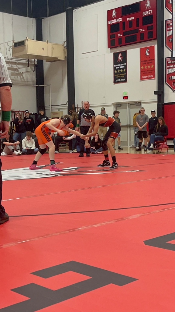 Wells High School wrestlers at Regionals in Lovelock