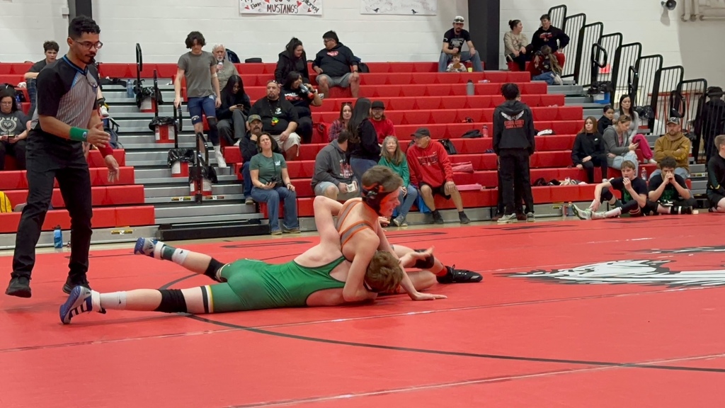 Wells High School wrestlers at Regionals in Lovelock