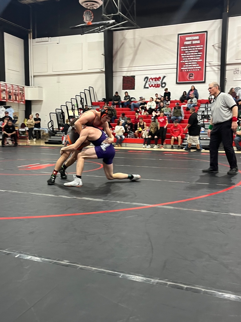 Wells High School wrestlers at Regionals in Lovelock