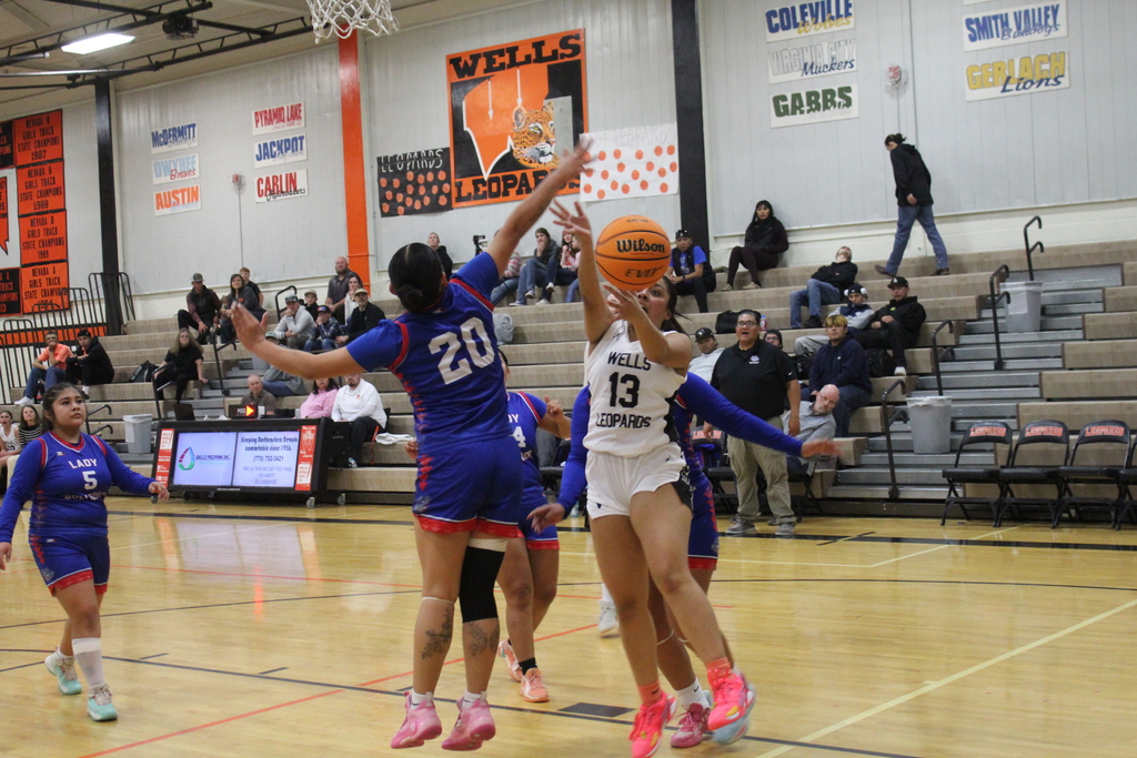 WHS girls varsity basketball playing McDermitt