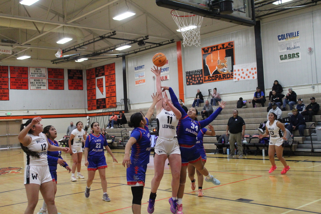 WHS girls varsity basketball playing McDermitt
