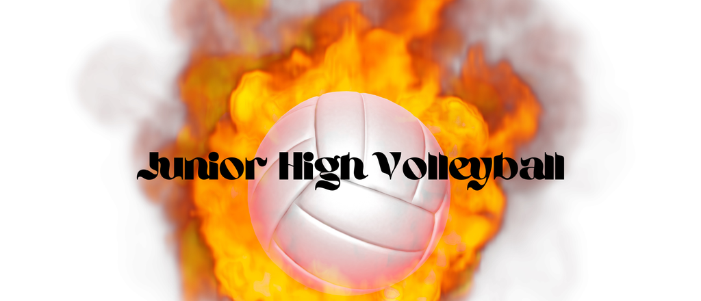 Intramural volleyball image