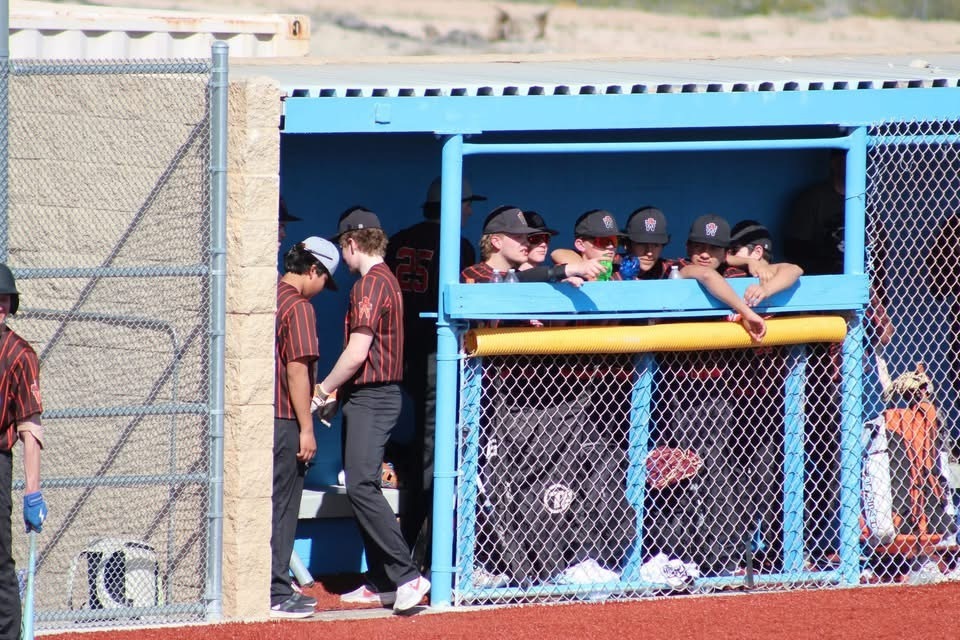 WHS baseball team members 2026