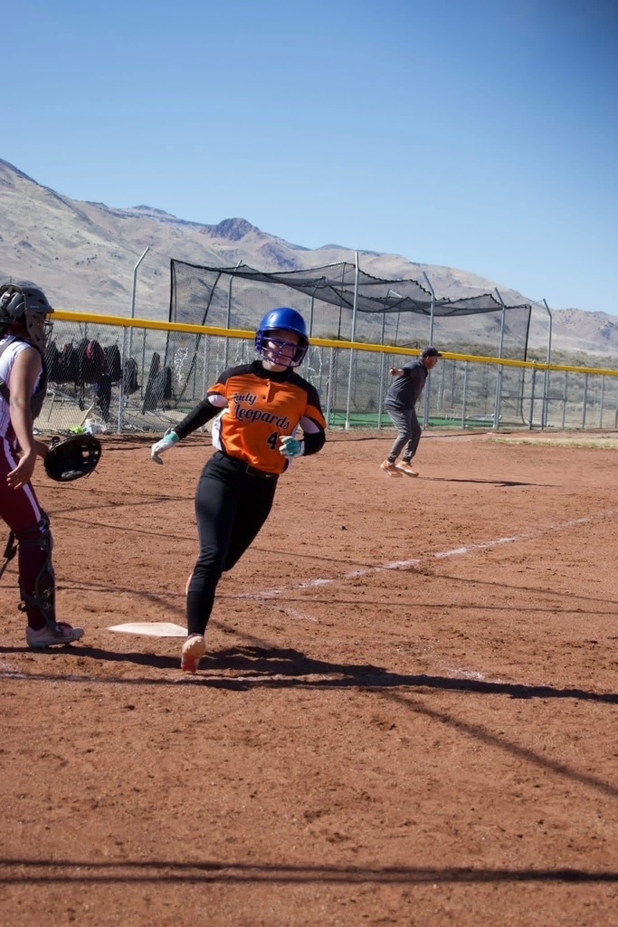 Wells High School softball players