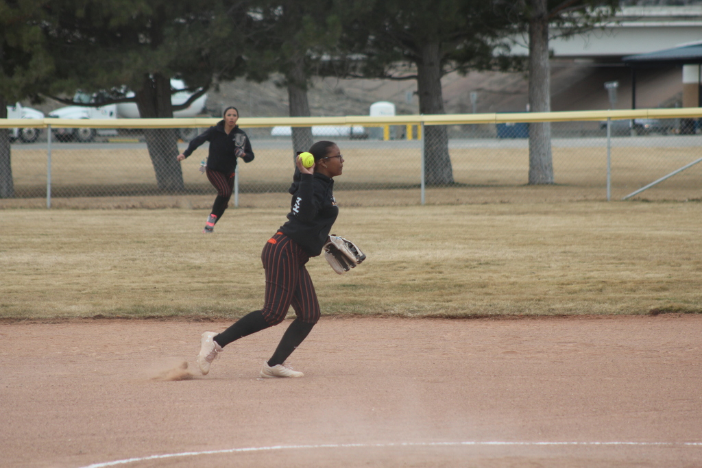 Wells High School softball players