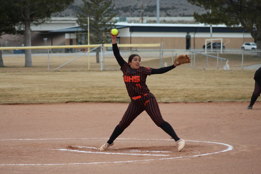 Wells High School softball players