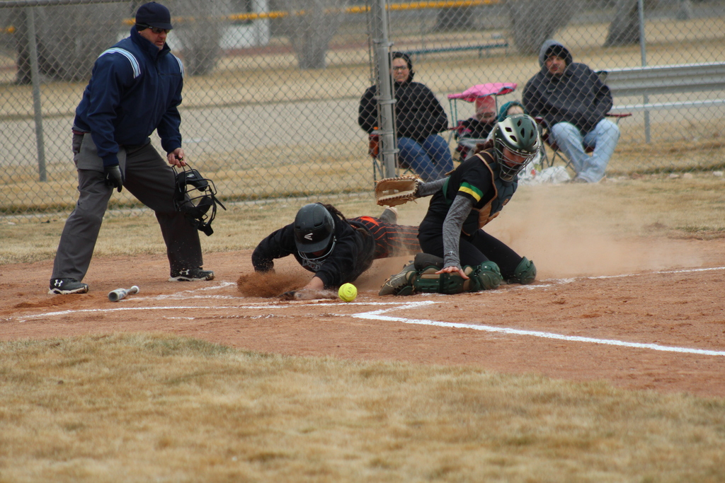 Wells High School softball players