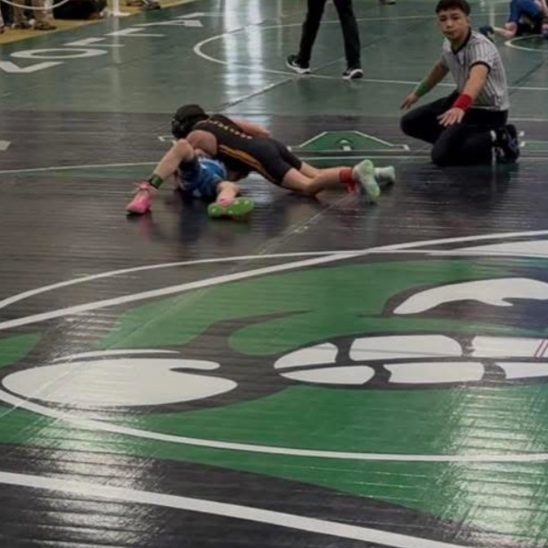 wells junior wrestling 