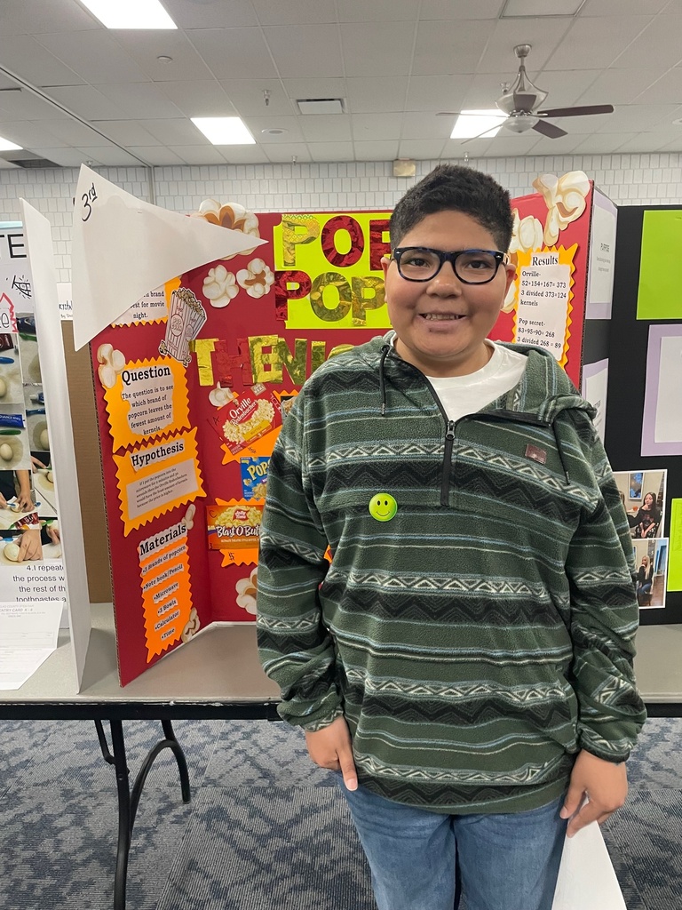 Stem Fair student boards and winners