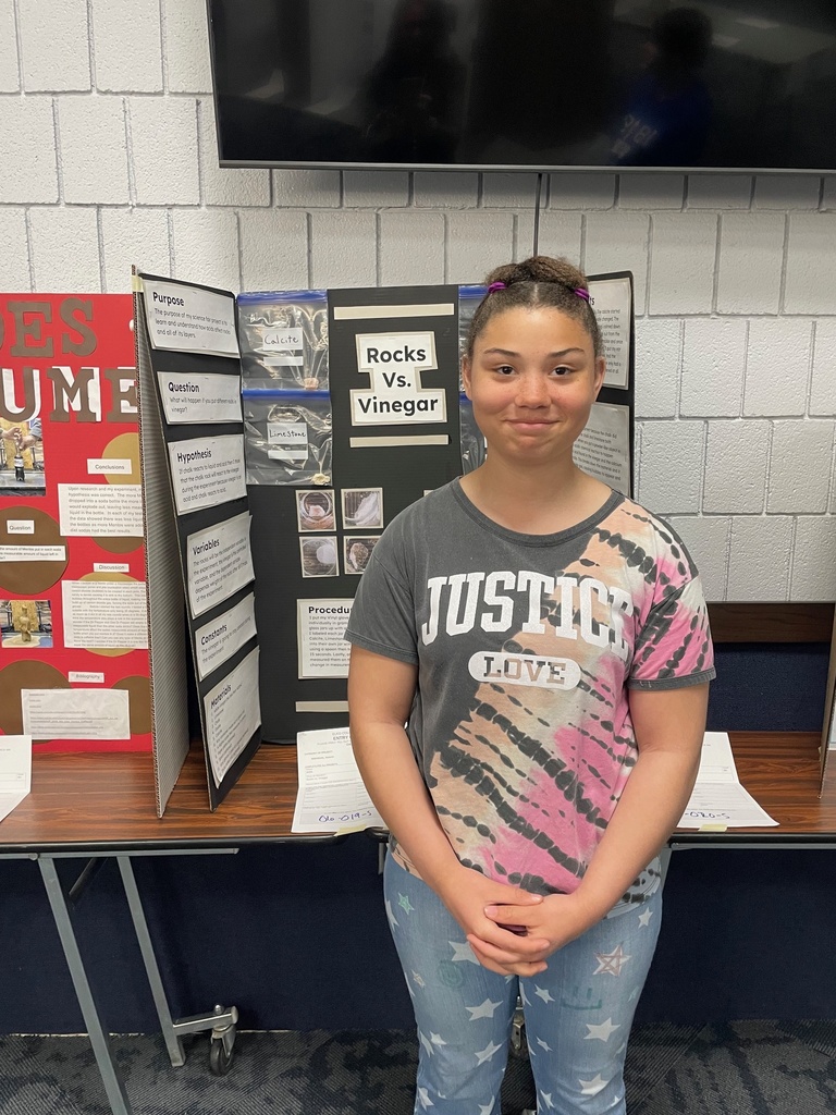 Stem Fair student boards and winners