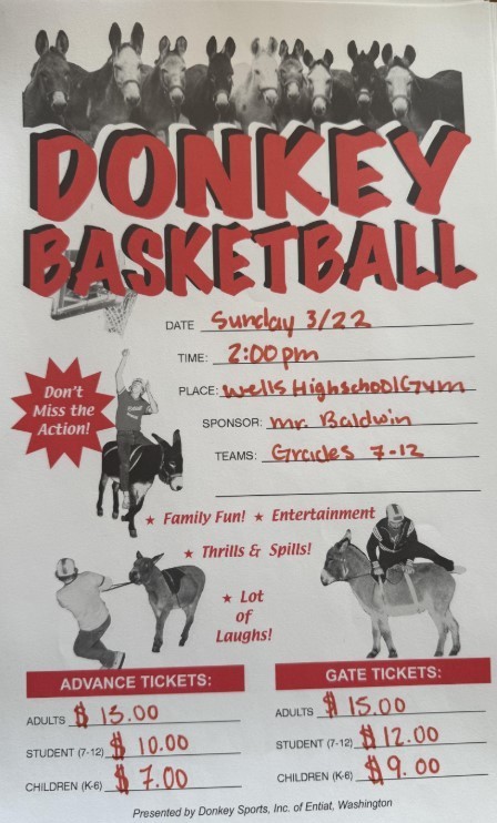 donkey basketball