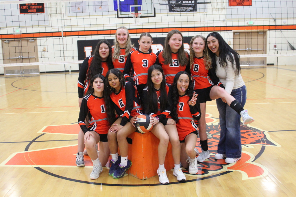 Intramural volleyball team pictures