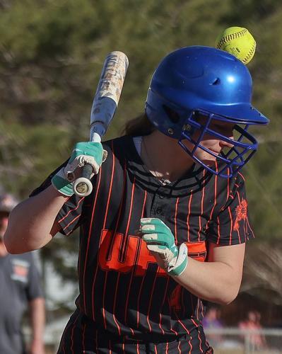 Wells High School softball player