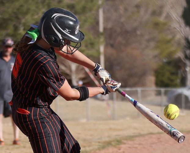Wells High School softball player